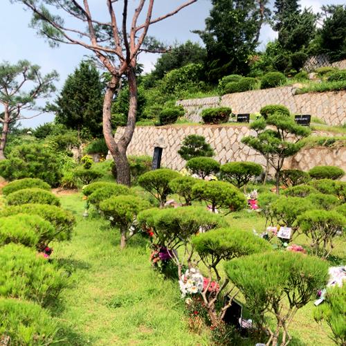수목장