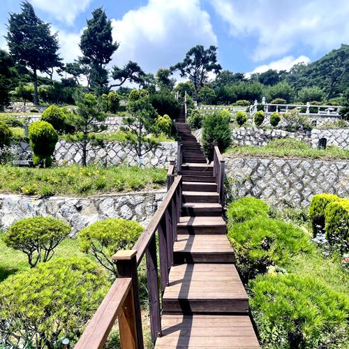 수목장