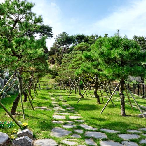 수목장